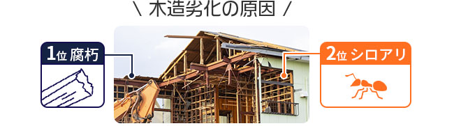 木造劣化の原因