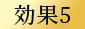 効果5