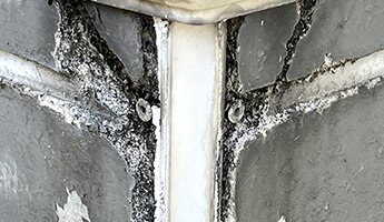 サイディングボードの腐食