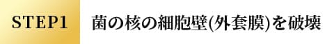 STEP1 菌の核の細胞壁(外套膜)を破壊