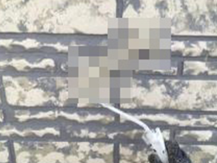 ベースC色を塗布します。