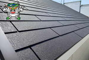 フッ素プラン セミフロンルーフ（4Fフッ素）