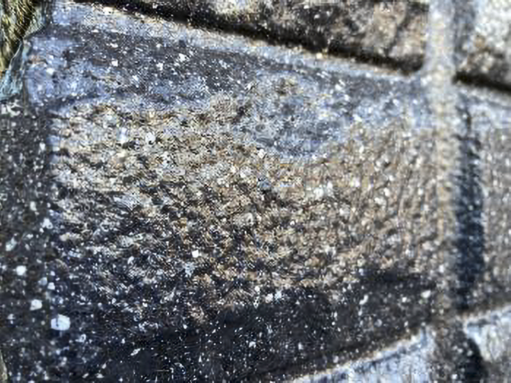 施工後のお写真です。<br />
この模様を施せるのは多彩模様仕上げだけ！