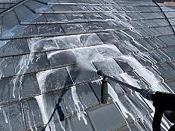 バイオ液を塗布します。