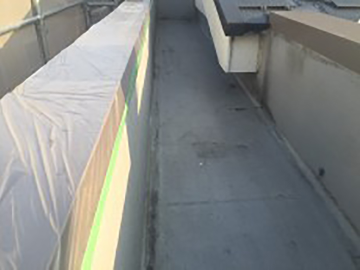 塗布後のお写真です。