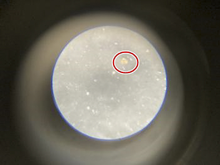 屋根部を90倍スコープで拡大した光触媒の銀や銅の様子です。